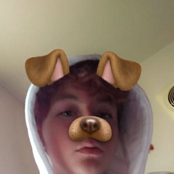 Meet your Posher, Daniel - Picture 1 of 1